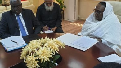 الاتحاد الافريقي السودان