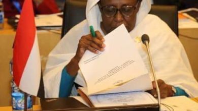 وزيرة الخارجية السودانية