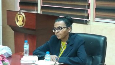 دكتورة هبة محمد علي