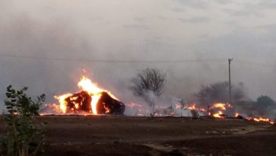 البني-عامر-والنوبة