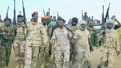 الدعم السريع تعلن السيطرة على "السوكي" وقصف الجيش يقتل العشرات